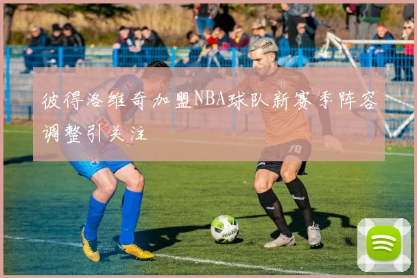 彼得洛维奇加盟NBA球队新赛季阵容调整引关注